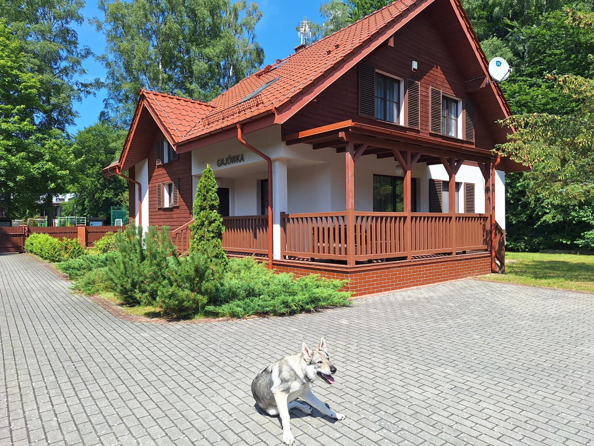 Hotel Osrodek Szkoleniowo-Wypoczynkowy "Lesnik" à Ustka Extérieur photo